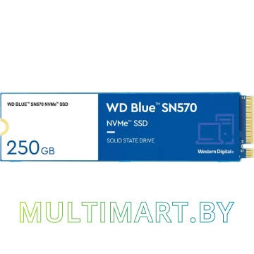 SSD диск WD Blue SN570 250GB (WDS250G3B0C) картинка 2